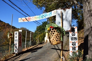 秋のまきさと収穫祭の写真