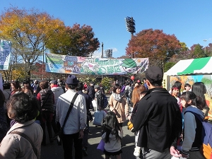 「八王子いちょう祭り」の写真