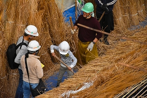 茅葺き作業の体験の様子