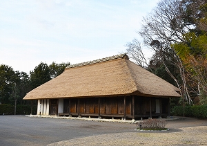 新しい茅葺屋根の雨上がりの様子