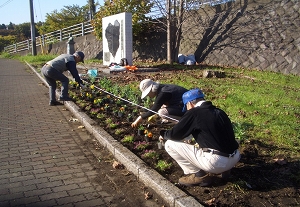 花壇に花を植えている写真