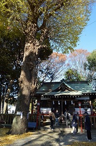 神社での様子