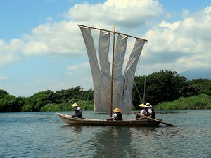 第5回南区私のイチ押し写真　大賞の作品