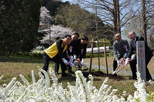 植樹の写真