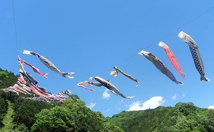 こいこいまつり和田の里交流祭の写真