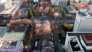 空撮映の写真