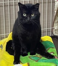 名前さくらちゃん