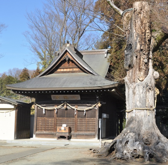 建物の写真