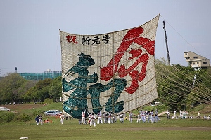 令和元年の相模の大凧まつりの様子