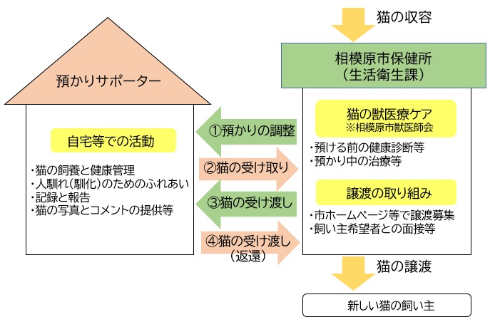 活動の流れ　図