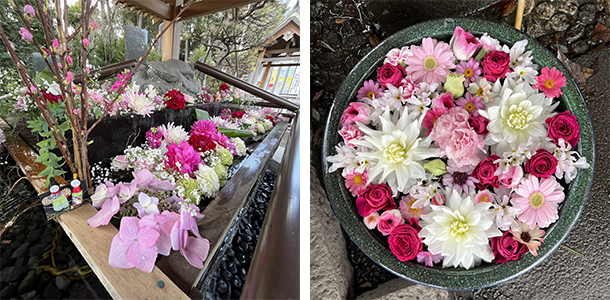 ひな祭り（桃の節句）の時期の花手水　写真