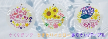 オリジナルスポンジ