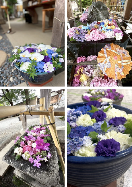 あじさい・中央区花手水