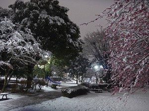 雪景色　写真2