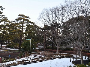 雪景色　写真7