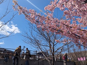 ひこうき雲　写真