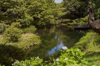 水鳥の池写真