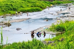 青山親水公園2