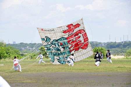 「南翔」の3間凧を引く様子 写真