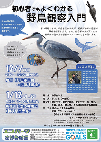 野鳥観察入門のチラシ