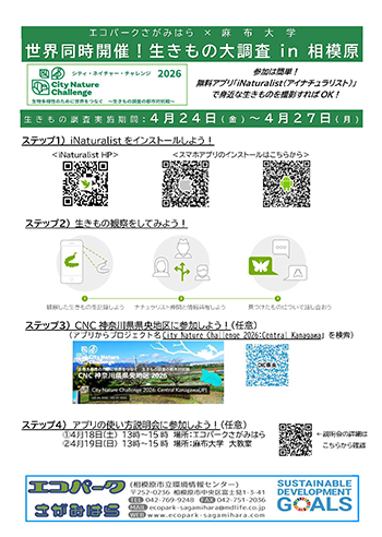 生きもの大調査チラシ画像