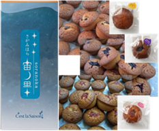 「相模原　宙ノ果（そらのか）-宇宙に夢中-」の写真
