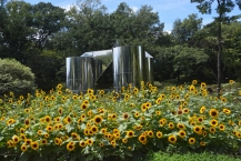 モニュメント花壇（県立相模原公園）